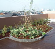 屋上・ベランダ緑化工事施工事例