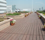 屋上・ベランダ緑化工事施工事例